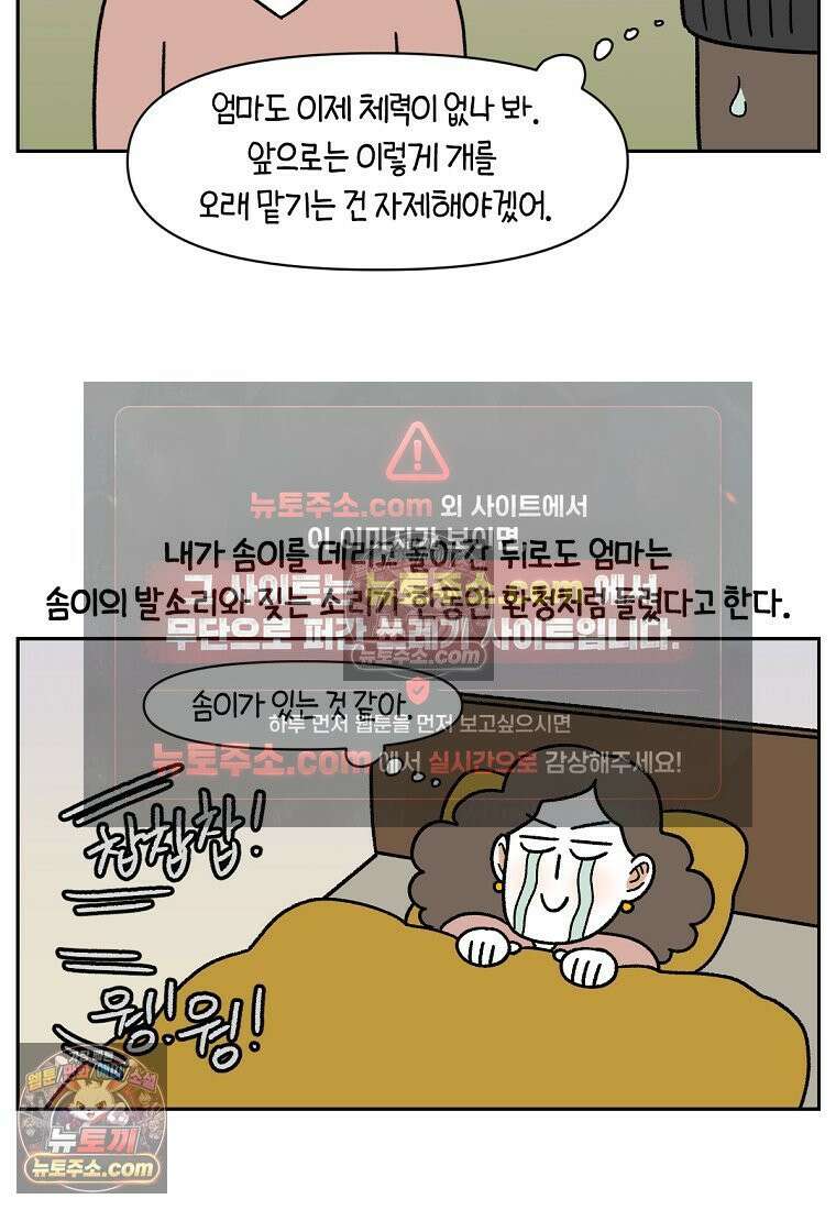 극한견주 시즌2 90화 여행과 솜이 24