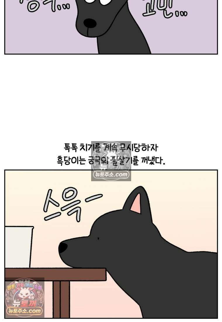 극한견주 시즌2 95화 꼬마공주 3