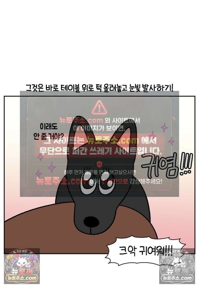 극한견주 시즌2 95화 꼬마공주 4