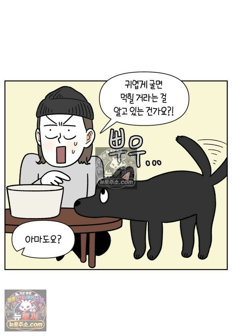 극한견주 시즌2 95화 꼬마공주 5
