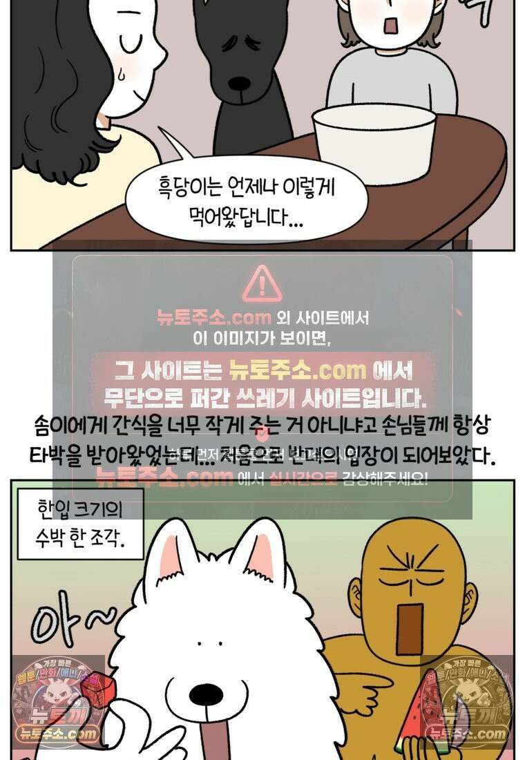 극한견주 시즌2 95화 꼬마공주 11