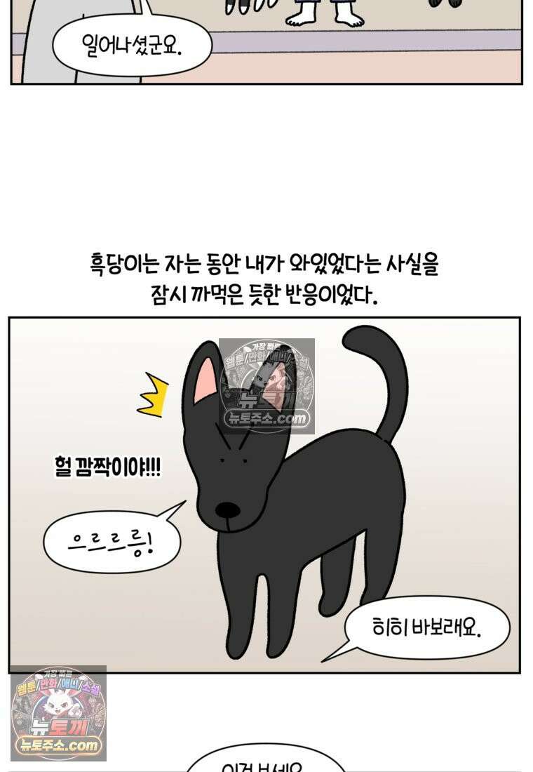 극한견주 시즌2 95화 꼬마공주 18