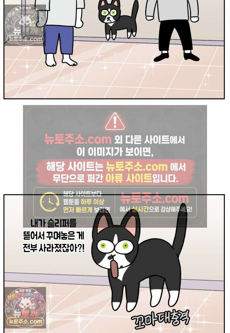 극한견주 시즌2 95화 꼬마공주 20