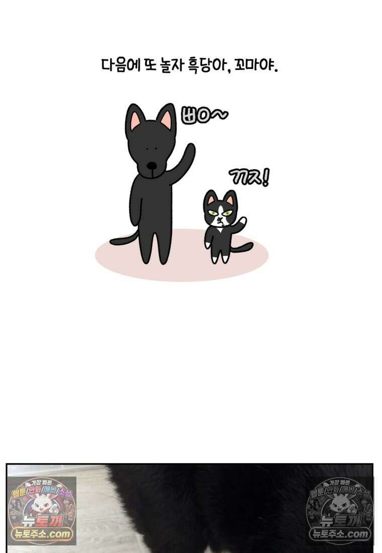 극한견주 시즌2 95화 꼬마공주 27