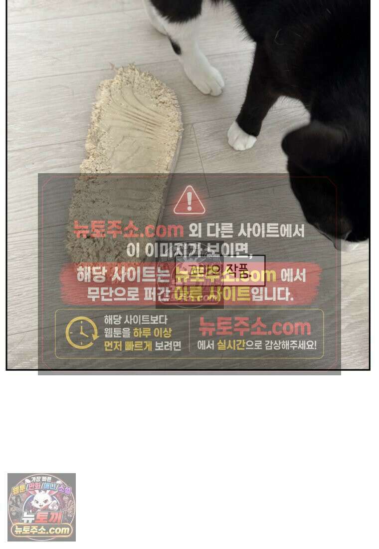극한견주 시즌2 95화 꼬마공주 28