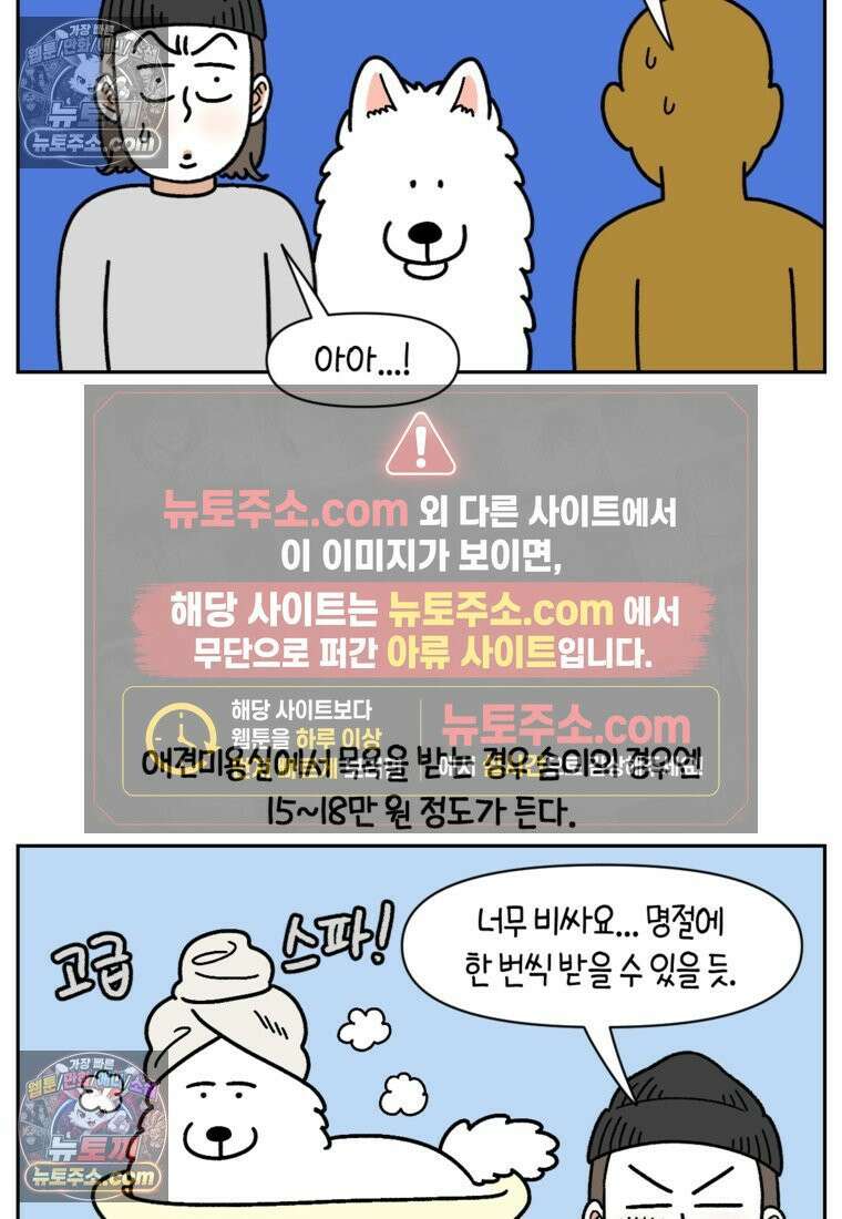 극한견주 시즌2 99화 셀프목욕장 방문기 4