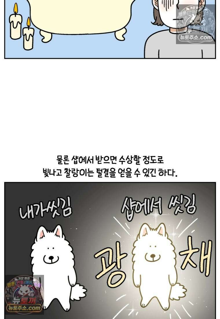 극한견주 시즌2 99화 셀프목욕장 방문기 5