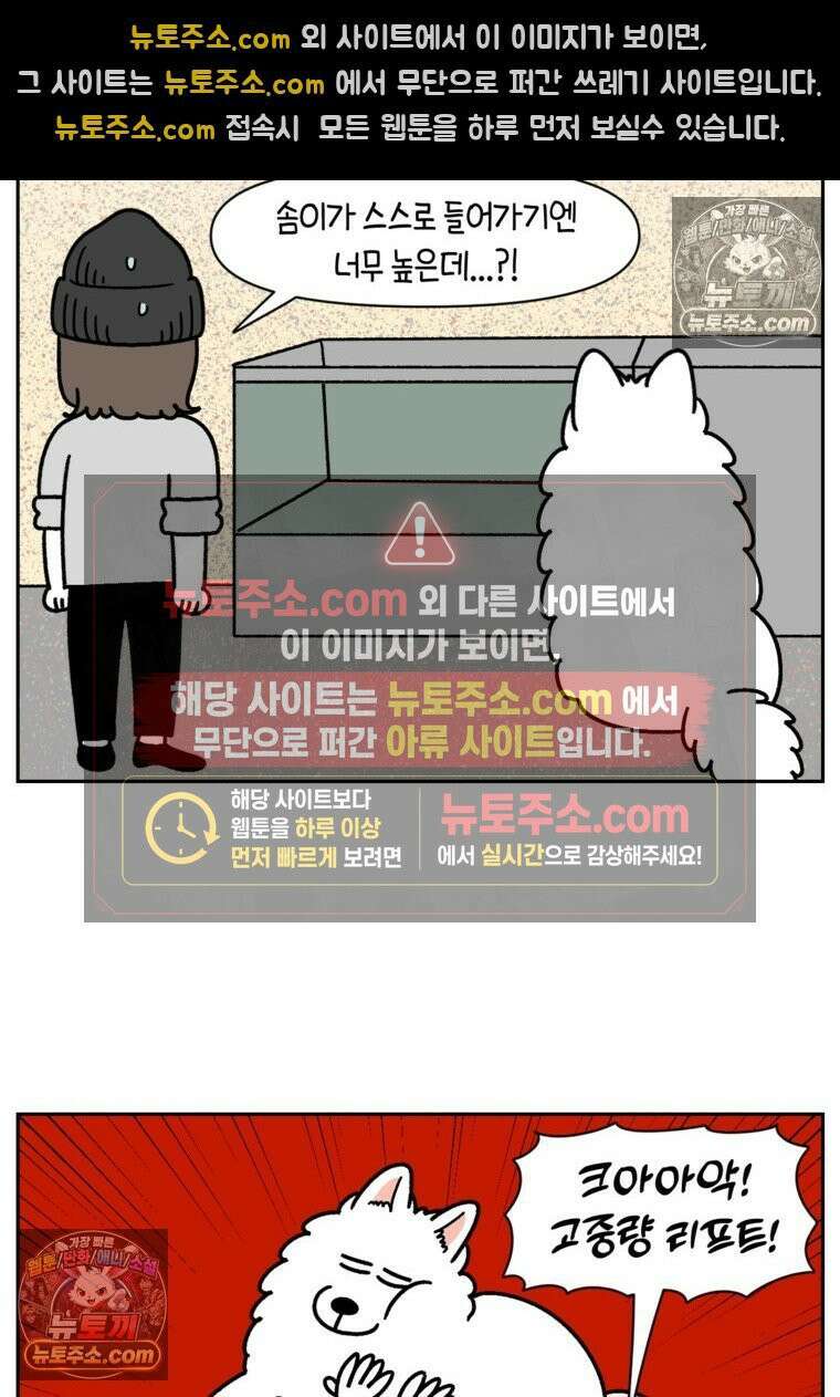 극한견주 시즌2 99화 셀프목욕장 방문기 8