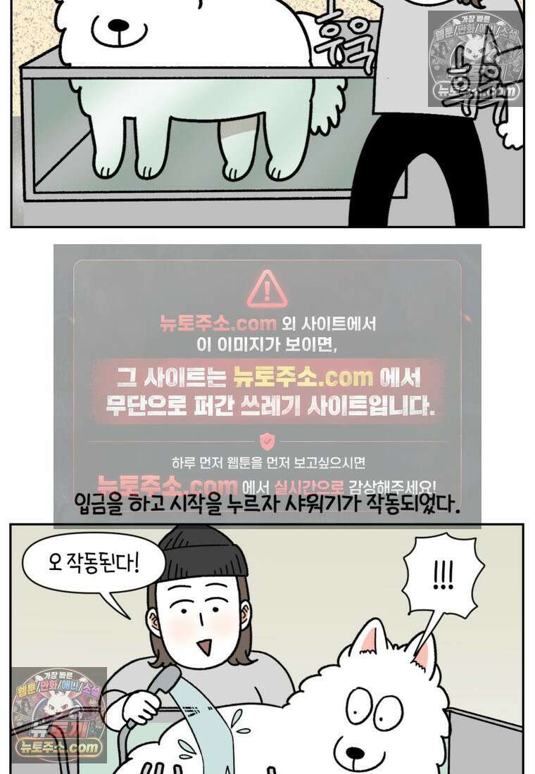 극한견주 시즌2 99화 셀프목욕장 방문기 10
