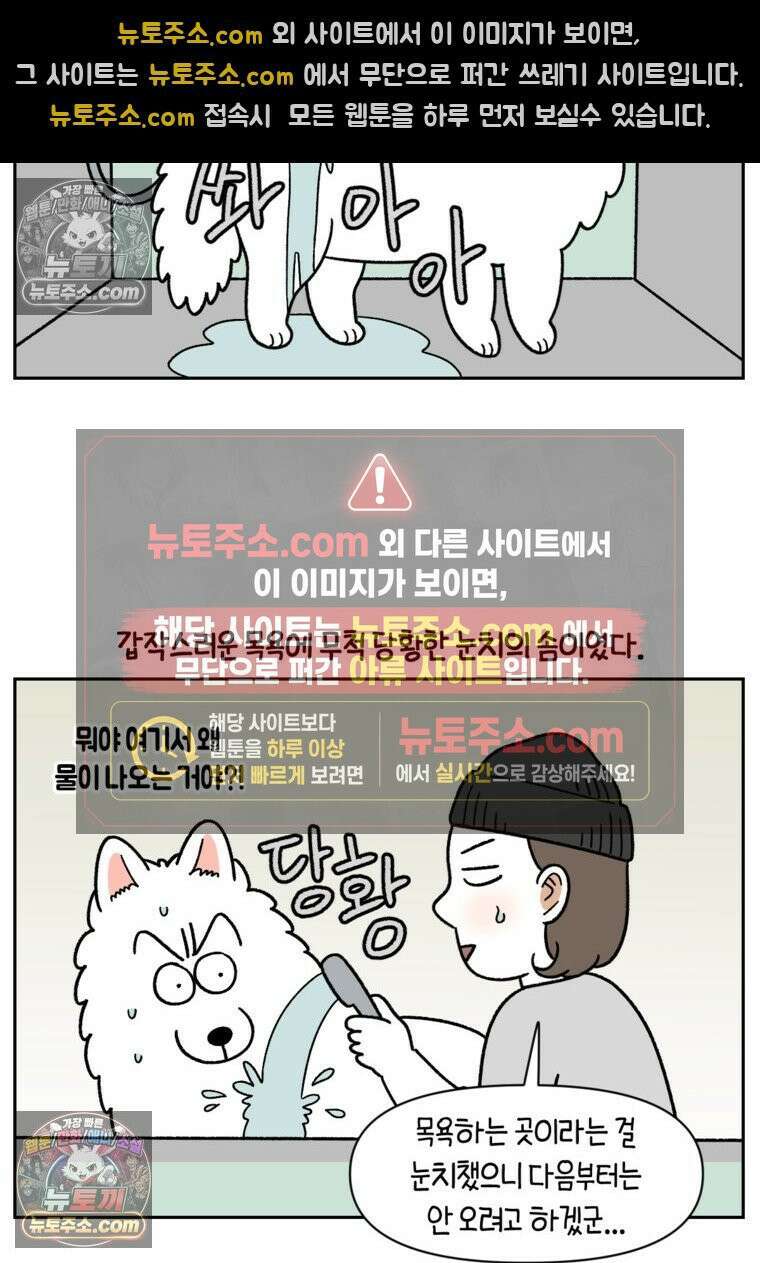 극한견주 시즌2 99화 셀프목욕장 방문기 11