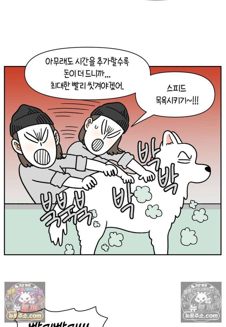 극한견주 시즌2 99화 셀프목욕장 방문기 12