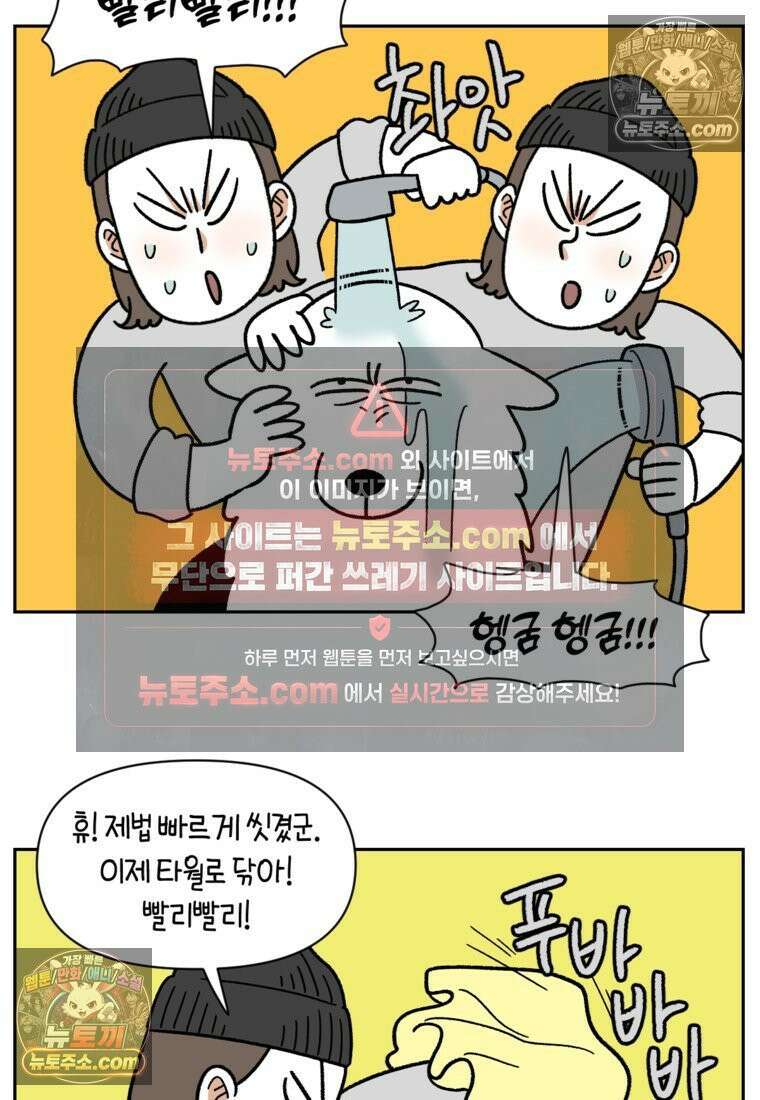 극한견주 시즌2 99화 셀프목욕장 방문기 13