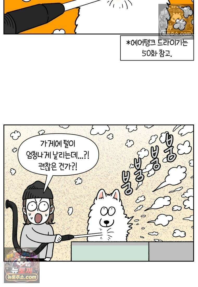 극한견주 시즌2 99화 셀프목욕장 방문기 16