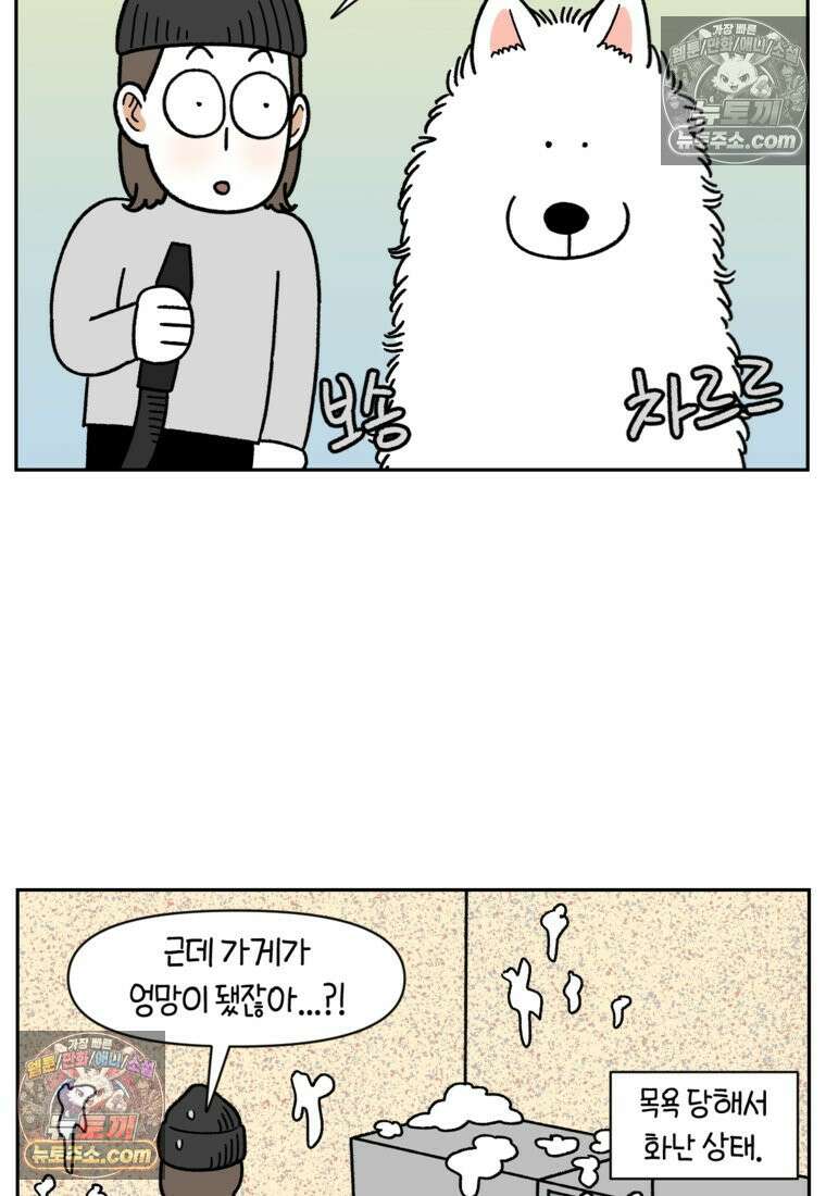 극한견주 시즌2 99화 셀프목욕장 방문기 18