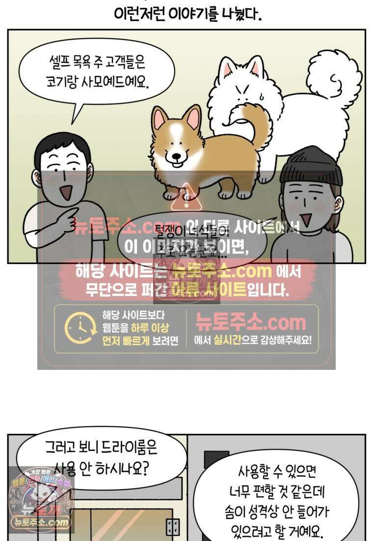 극한견주 시즌2 99화 셀프목욕장 방문기 22