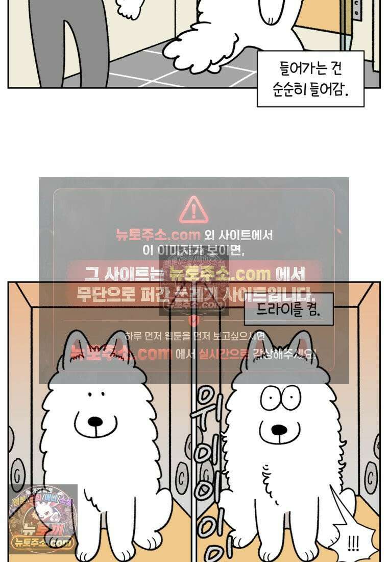 극한견주 시즌2 99화 셀프목욕장 방문기 24