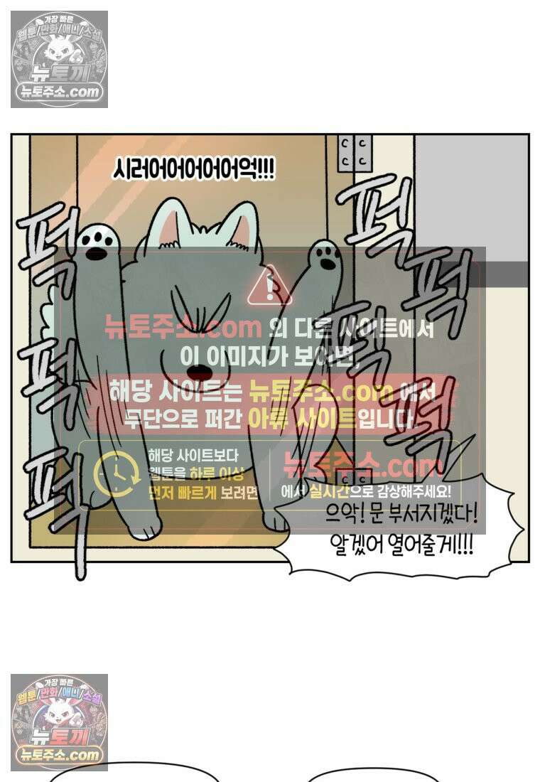 극한견주 시즌2 99화 셀프목욕장 방문기 26