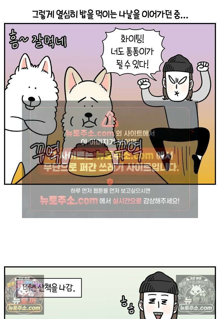 극한견주 시즌2 107화 벌크업 2