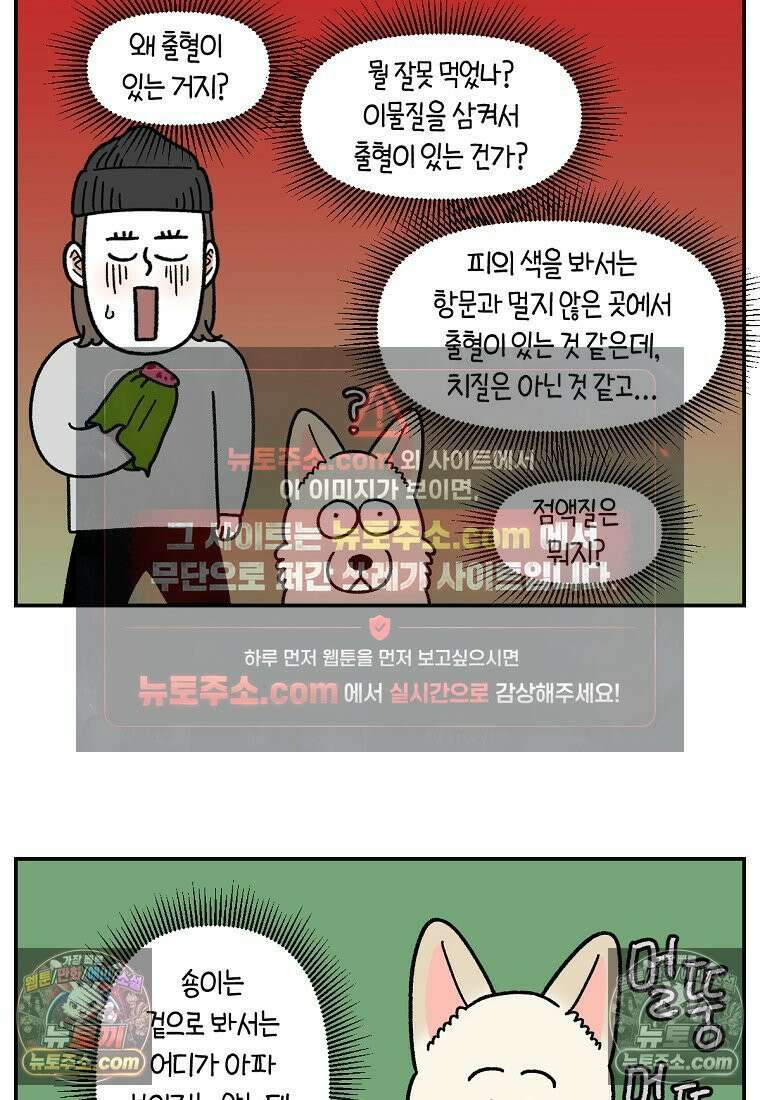 극한견주 시즌2 107화 벌크업 6