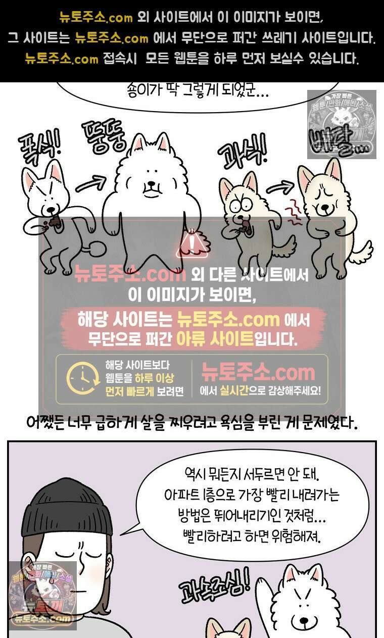극한견주 시즌2 107화 벌크업 11