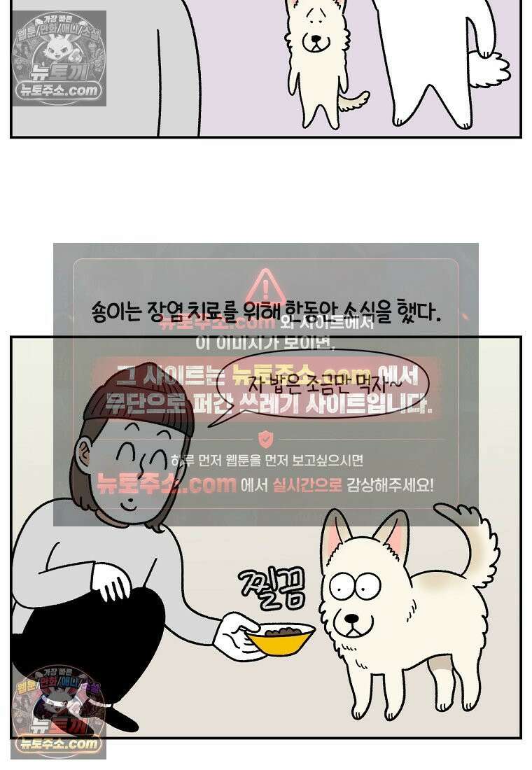 극한견주 시즌2 107화 벌크업 12