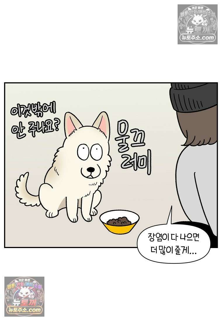 극한견주 시즌2 107화 벌크업 13