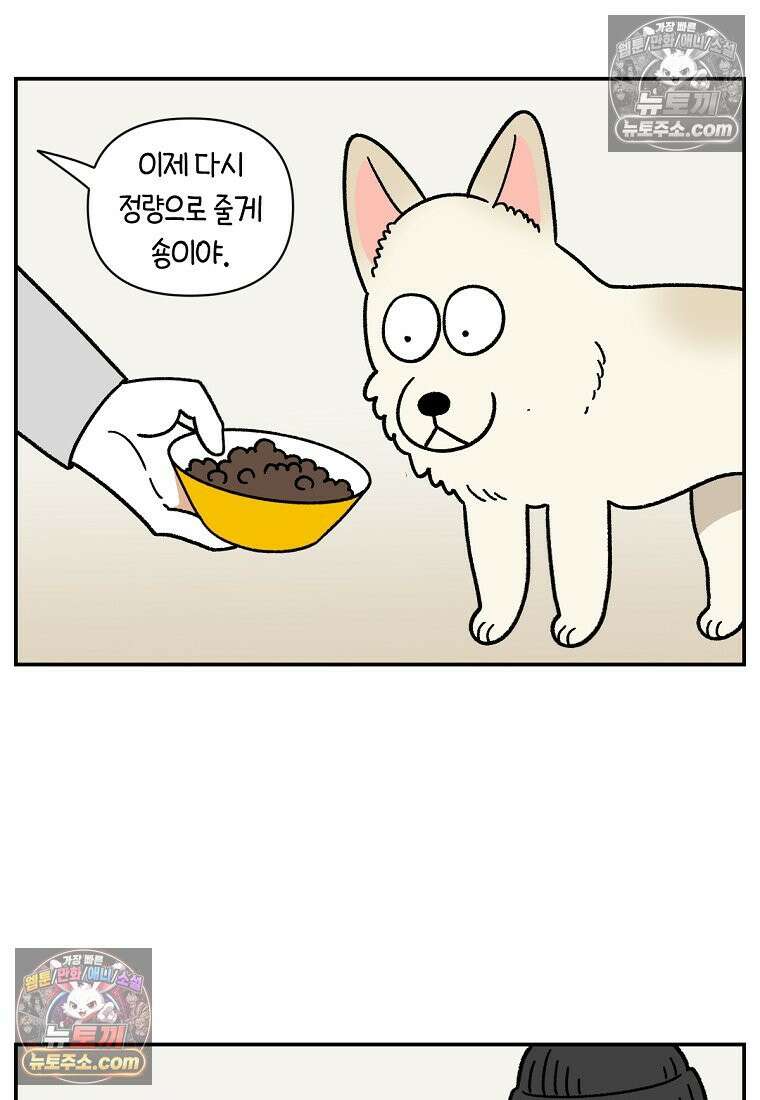 극한견주 시즌2 107화 벌크업 15