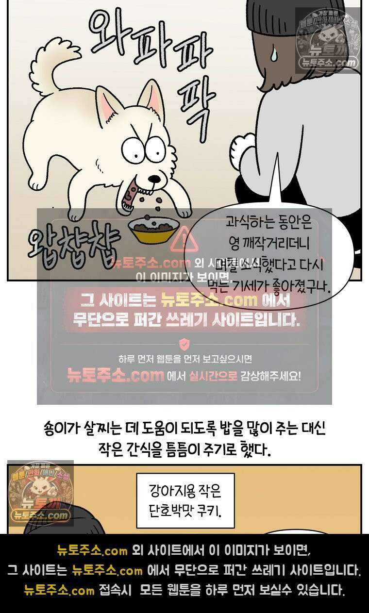 극한견주 시즌2 107화 벌크업 16