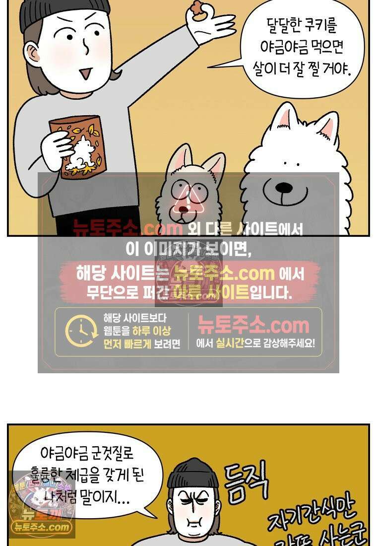 극한견주 시즌2 107화 벌크업 17