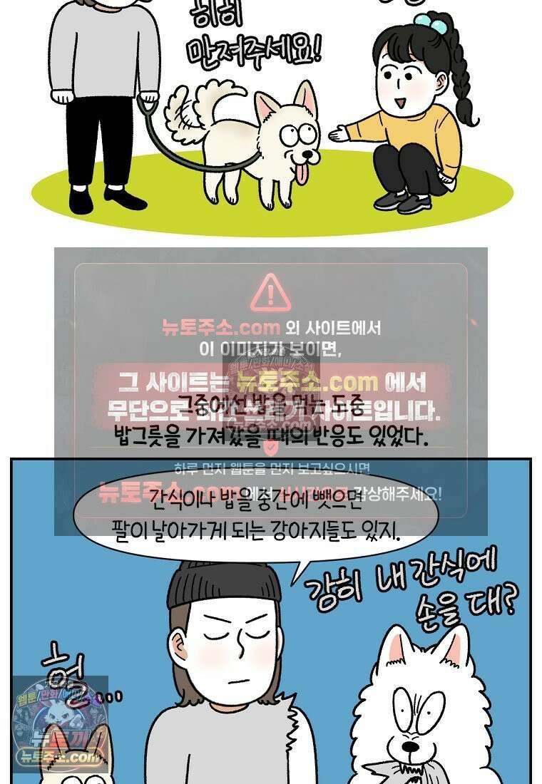극한견주 시즌2 107화 벌크업 19