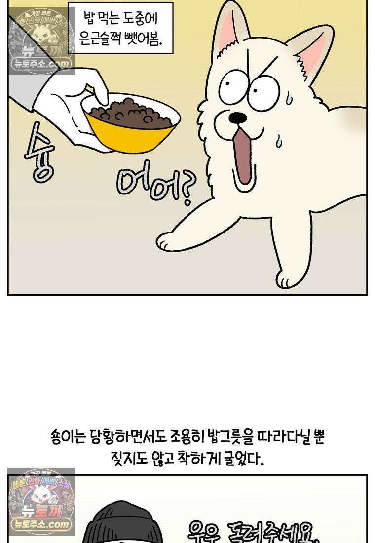 극한견주 시즌2 107화 벌크업 23