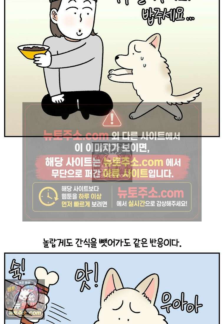 극한견주 시즌2 107화 벌크업 24