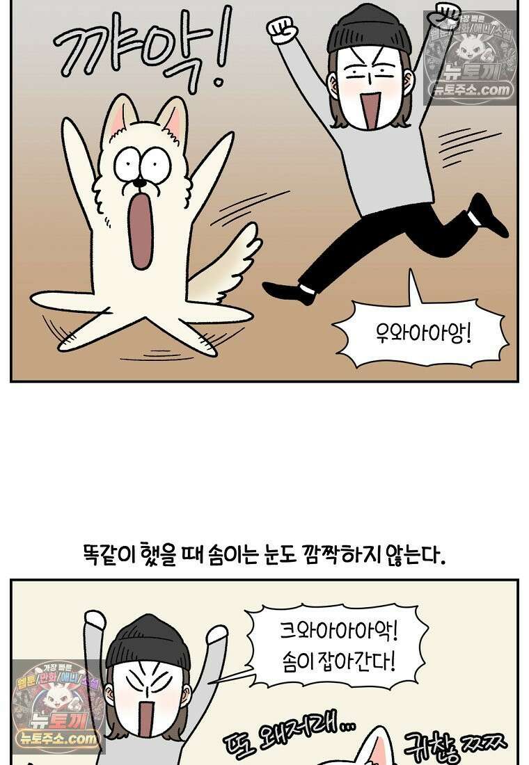 극한견주 시즌2 117화 놀이시간 3