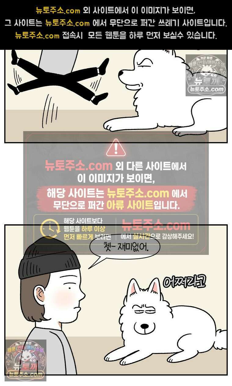 극한견주 시즌2 117화 놀이시간 4