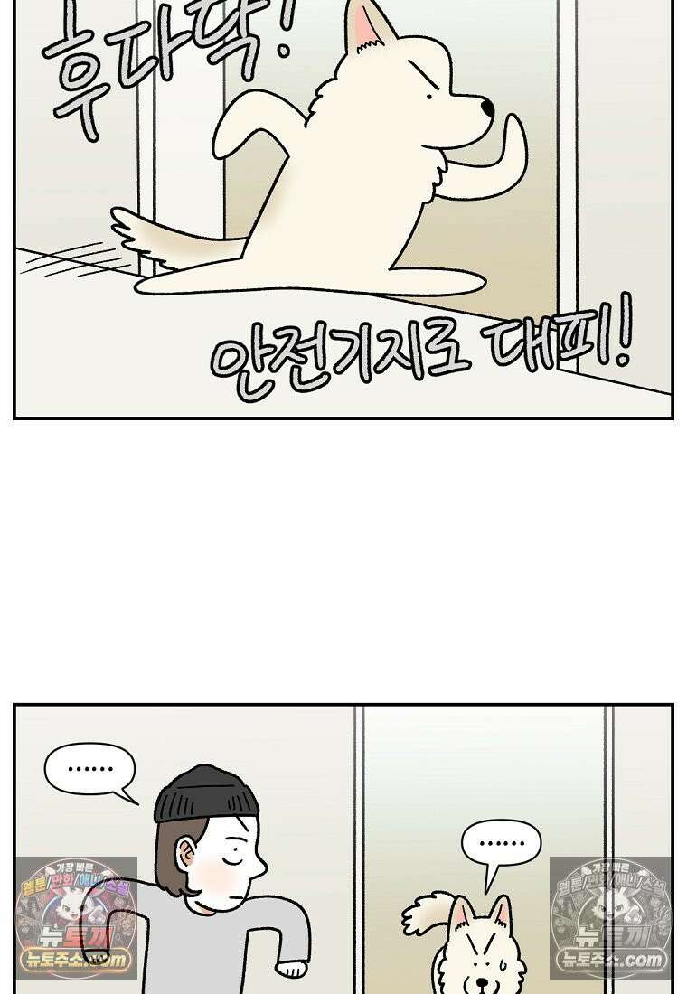 극한견주 시즌2 117화 놀이시간 6