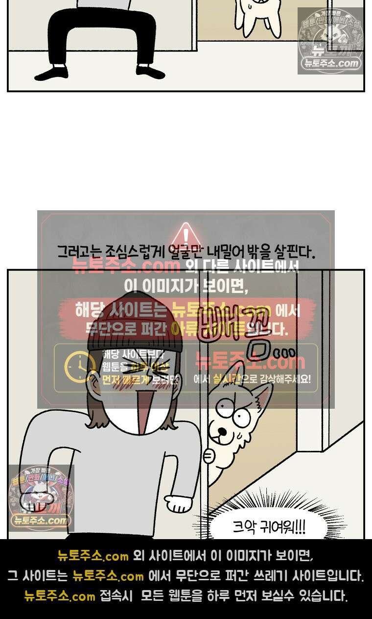 극한견주 시즌2 117화 놀이시간 7