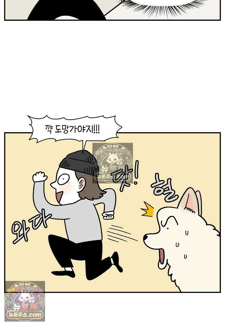극한견주 시즌2 117화 놀이시간 8