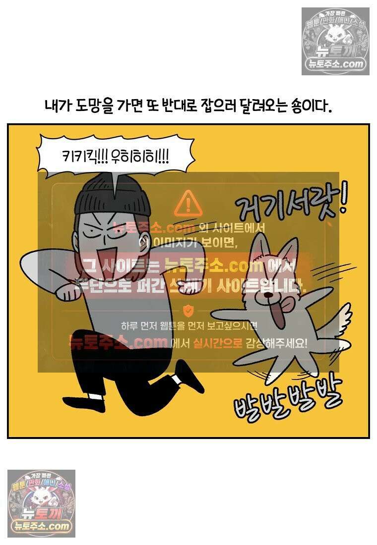 극한견주 시즌2 117화 놀이시간 9