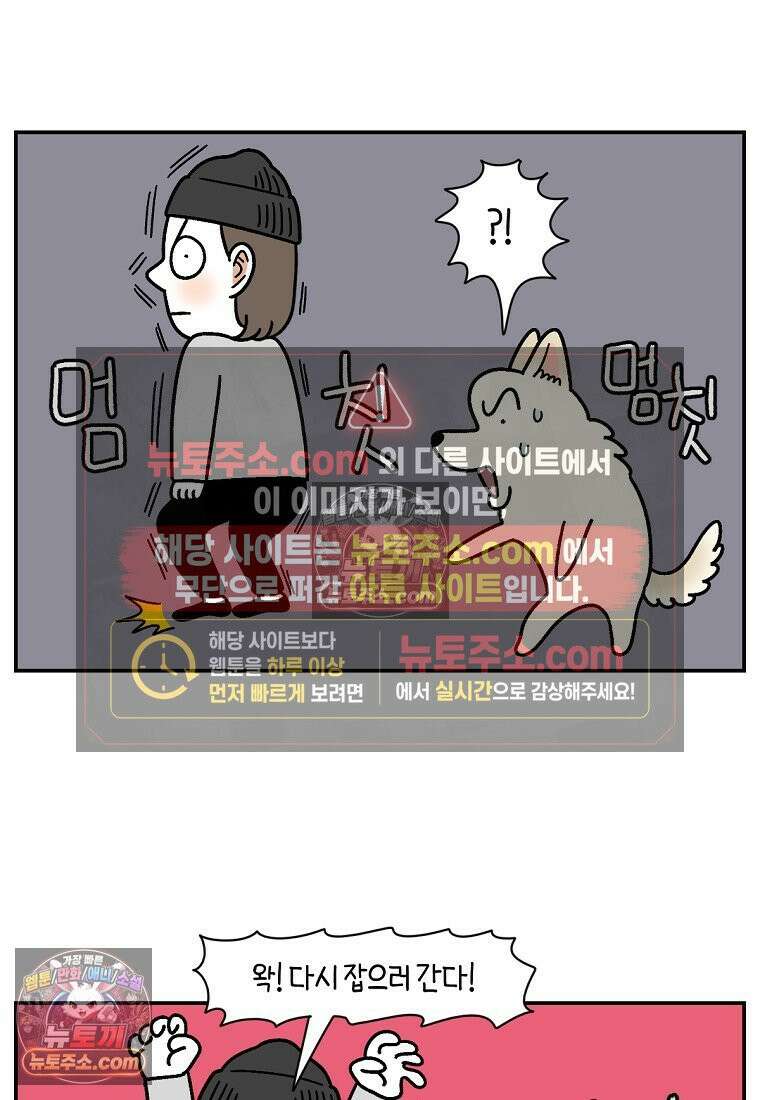 극한견주 시즌2 117화 놀이시간 10