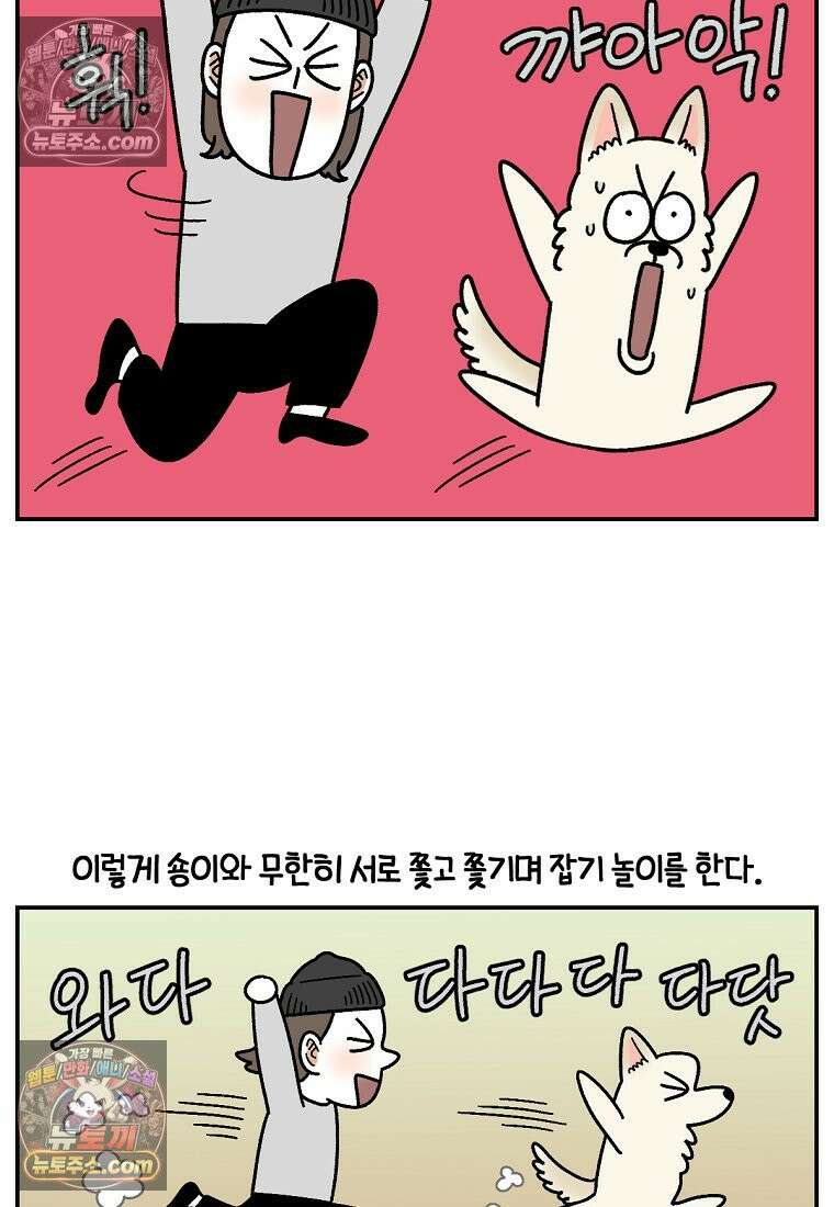 극한견주 시즌2 117화 놀이시간 11