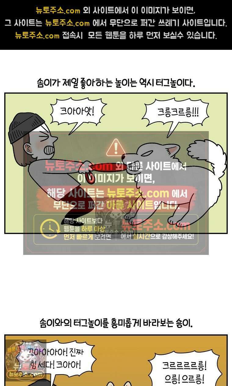 극한견주 시즌2 117화 놀이시간 13