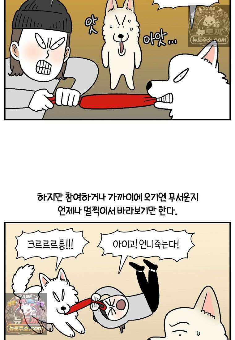 극한견주 시즌2 117화 놀이시간 14