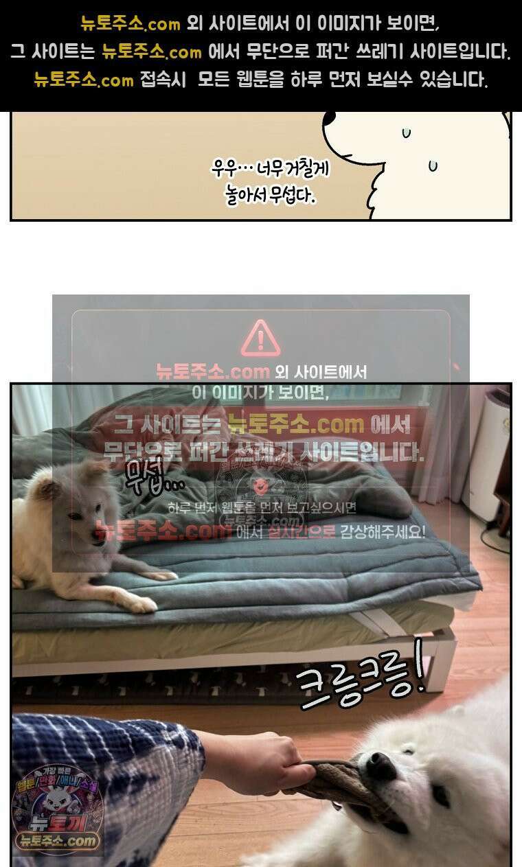 극한견주 시즌2 117화 놀이시간 15