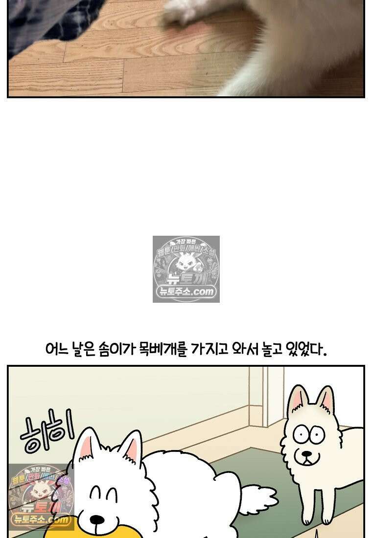 극한견주 시즌2 117화 놀이시간 16