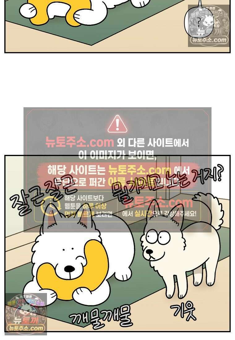 극한견주 시즌2 117화 놀이시간 17