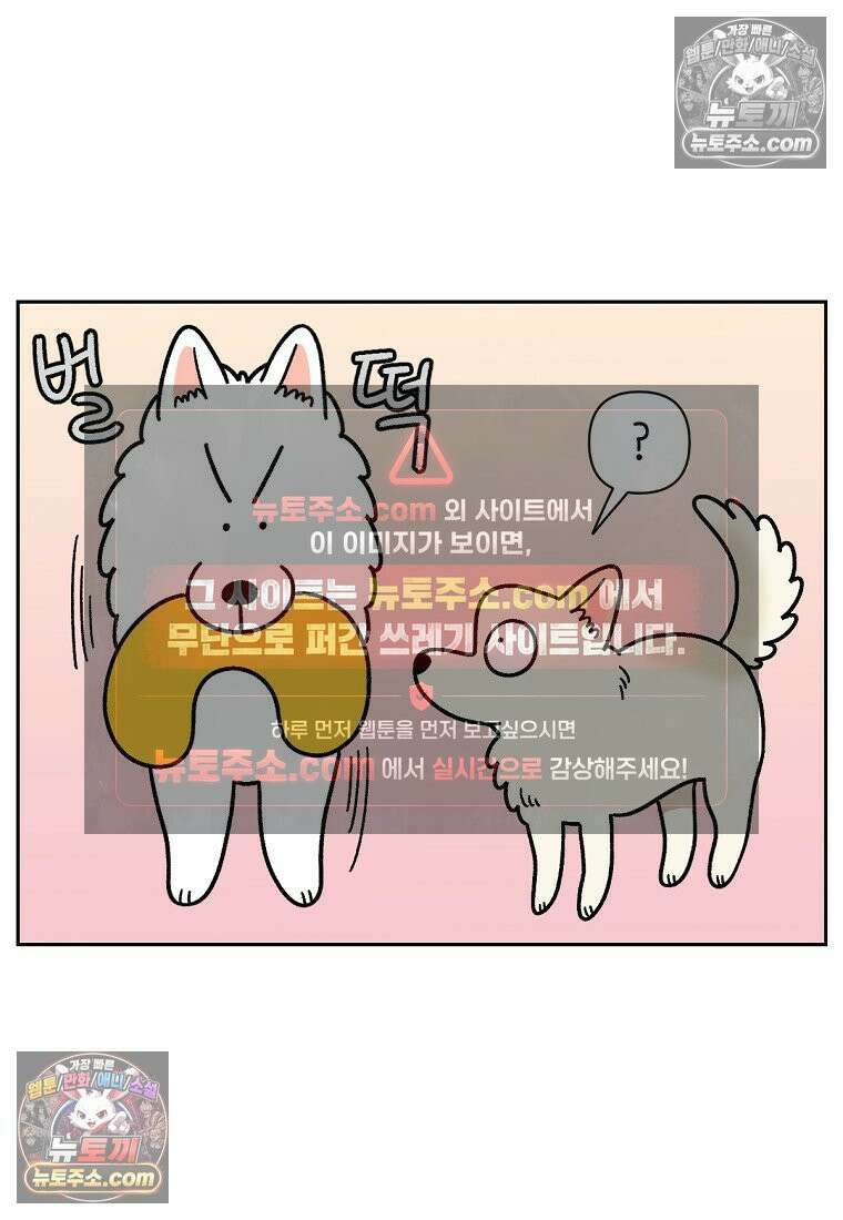 극한견주 시즌2 117화 놀이시간 18