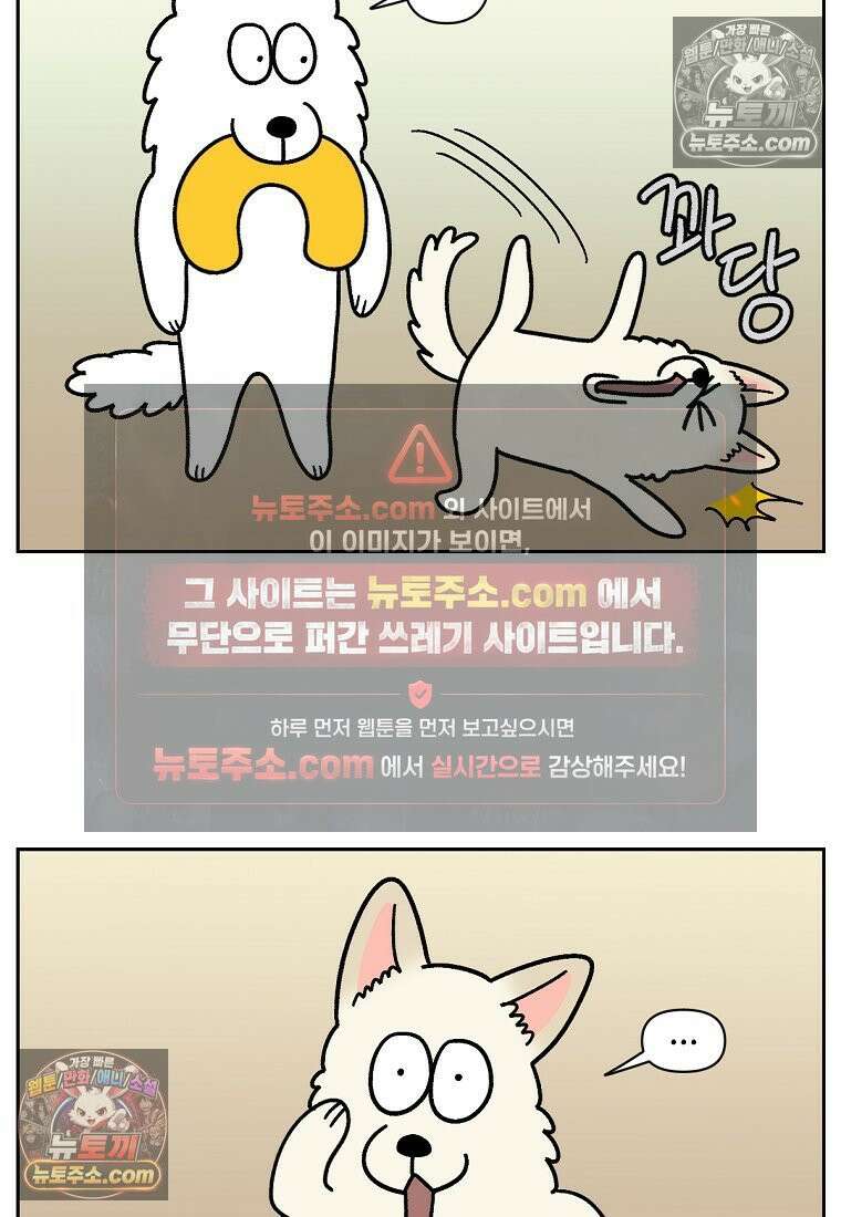 극한견주 시즌2 117화 놀이시간 21