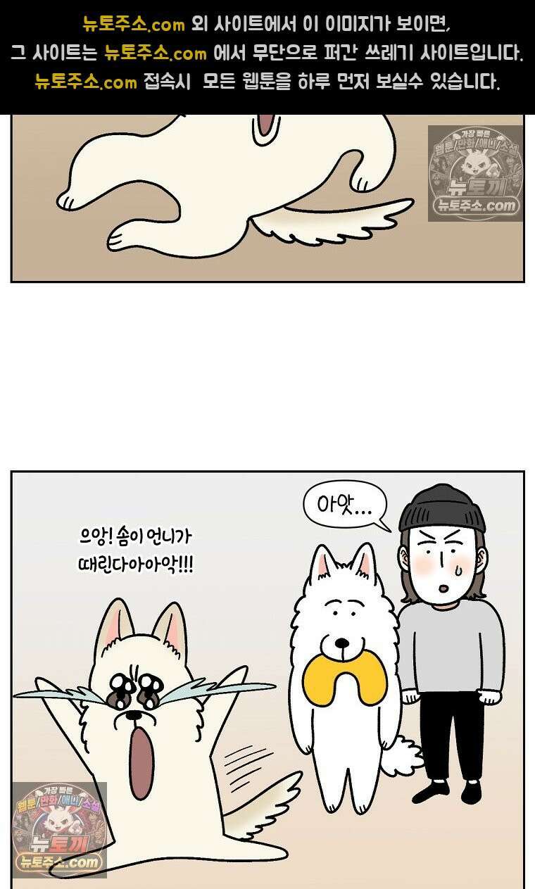 극한견주 시즌2 117화 놀이시간 22