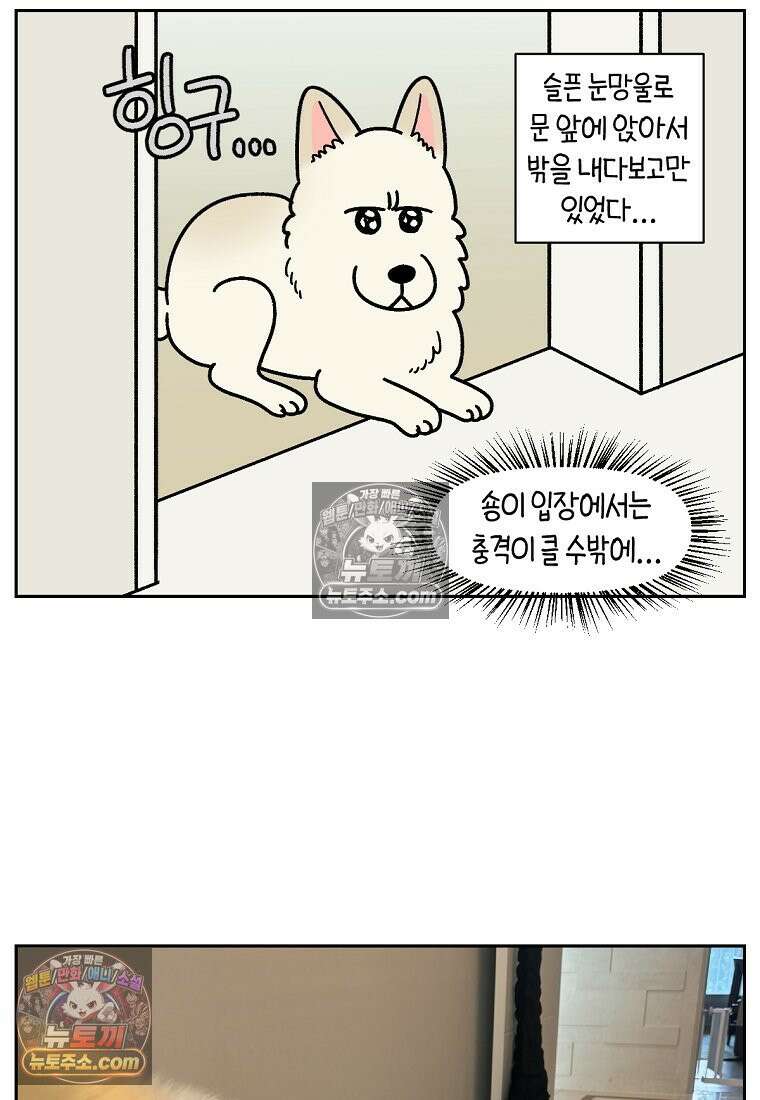 극한견주 시즌2 117화 놀이시간 24