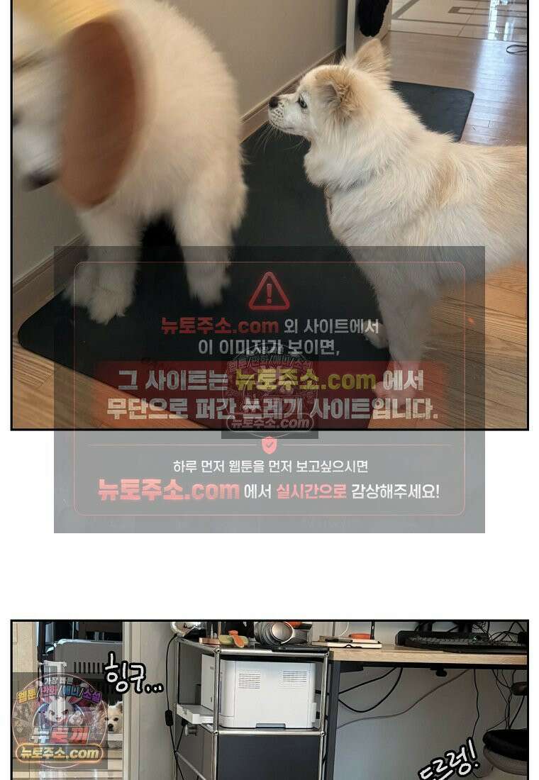 극한견주 시즌2 117화 놀이시간 25